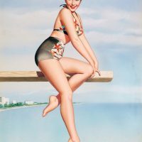 Five Shades of Why: Getting to the Real Truth Diving Board Beauty by Pearl Frush